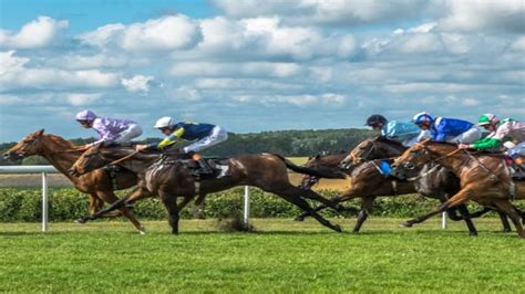 horse racing accumulator|work out accumulator bet.